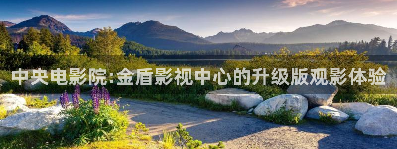 宅男视频污在线观看