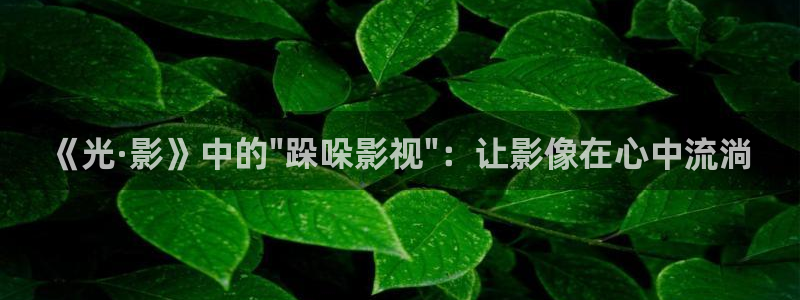 国产宅男视频在线观看
