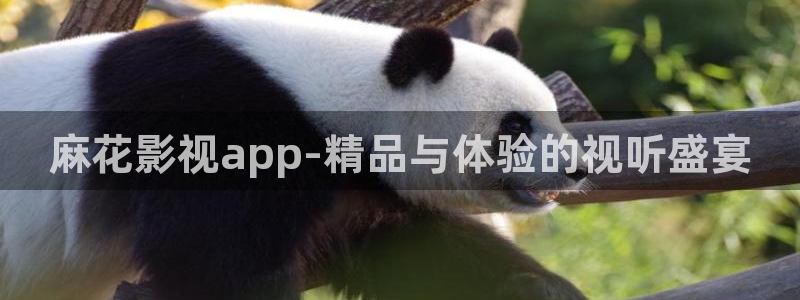 www.av宅男视频